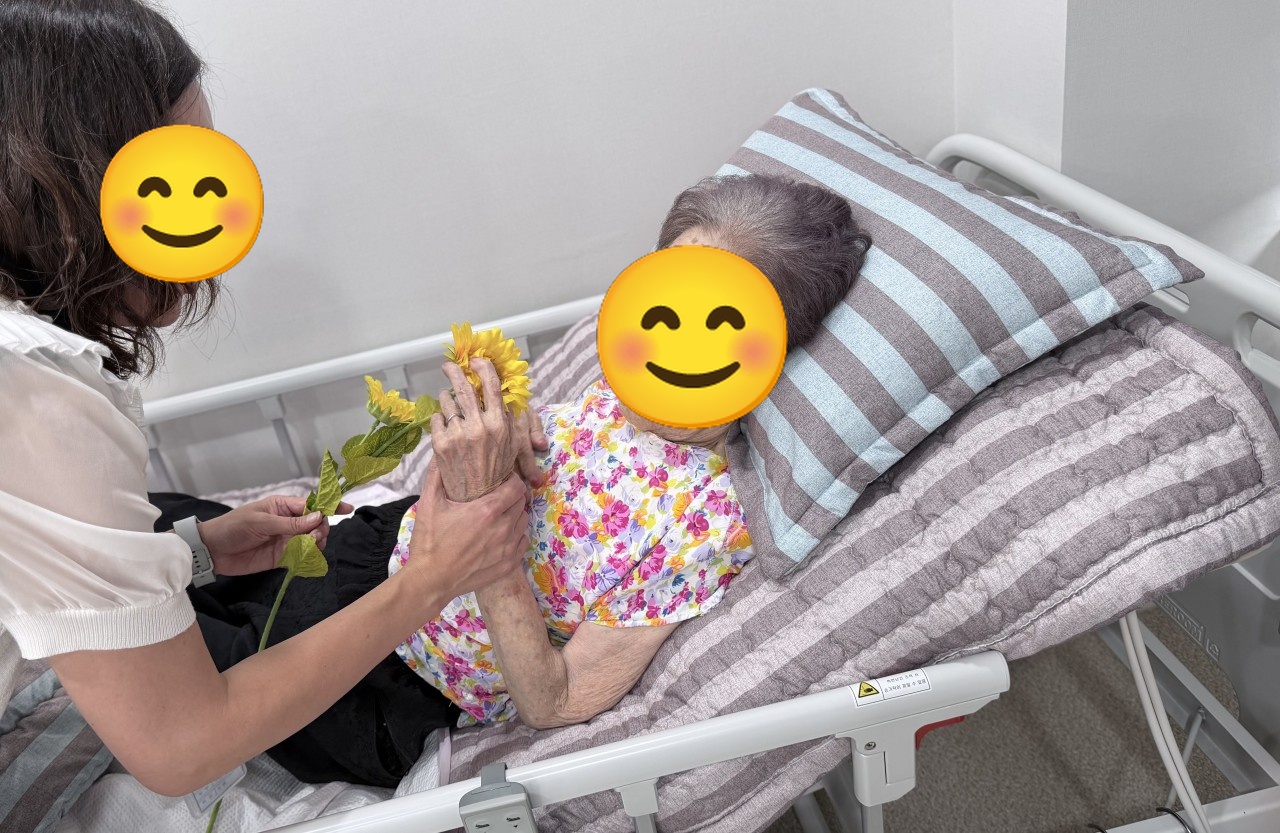 해바라기 활동